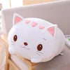 Squish kussen knuffel Kat 23 cm