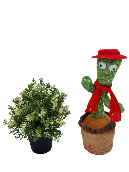 Dansende Cactus Speelgoed Cactus met Hoed